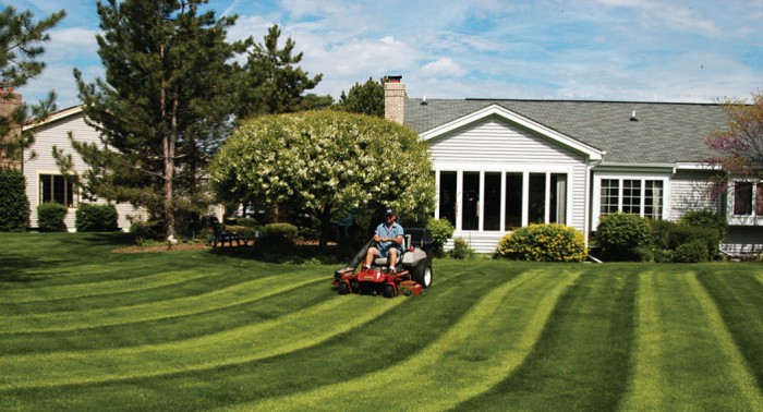 Lawn Mowing Melbourne